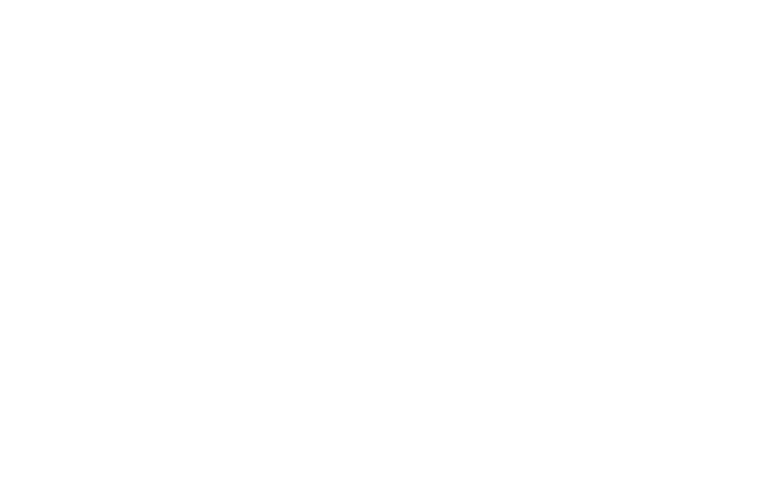 Logo 13