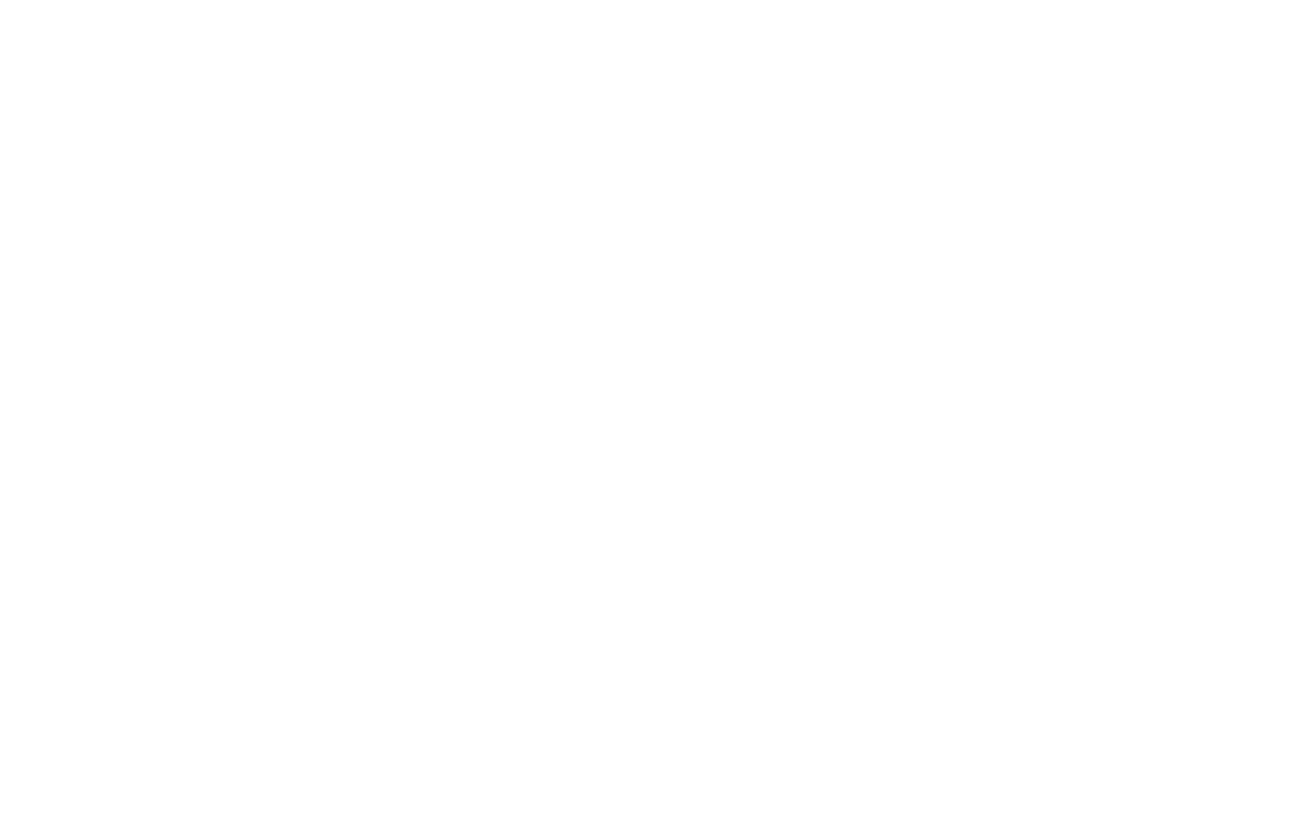 Logo 20