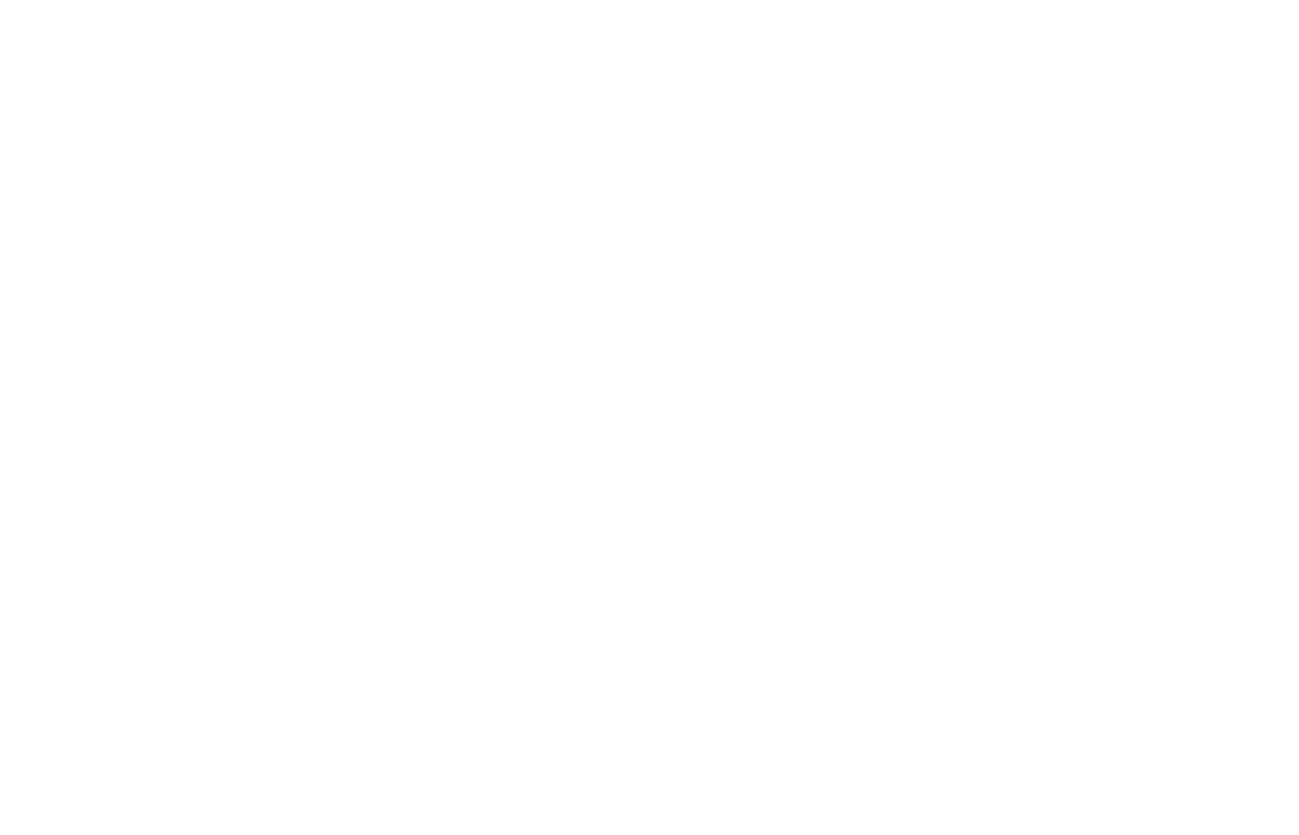 Logo 29