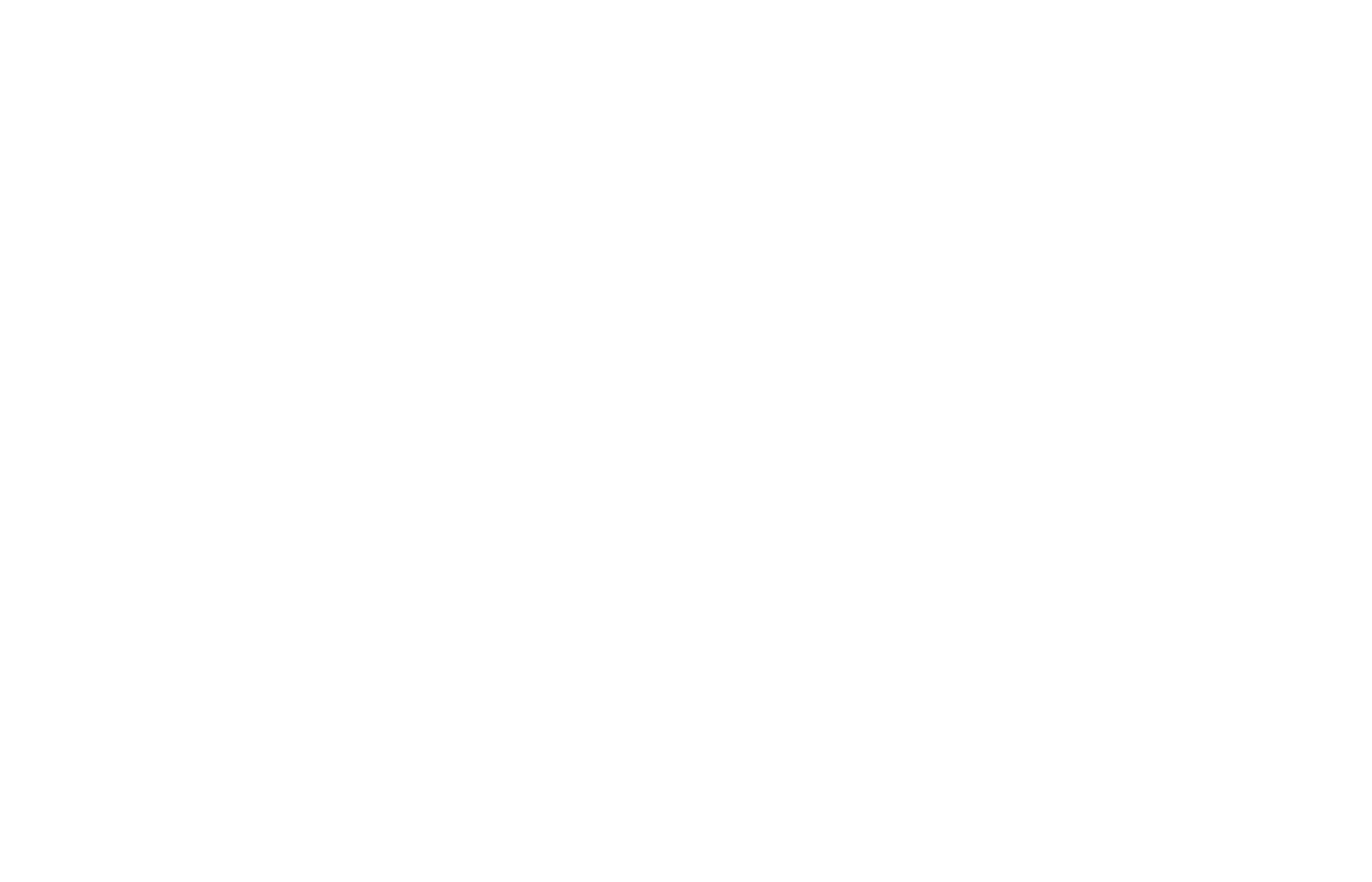 Logo 30