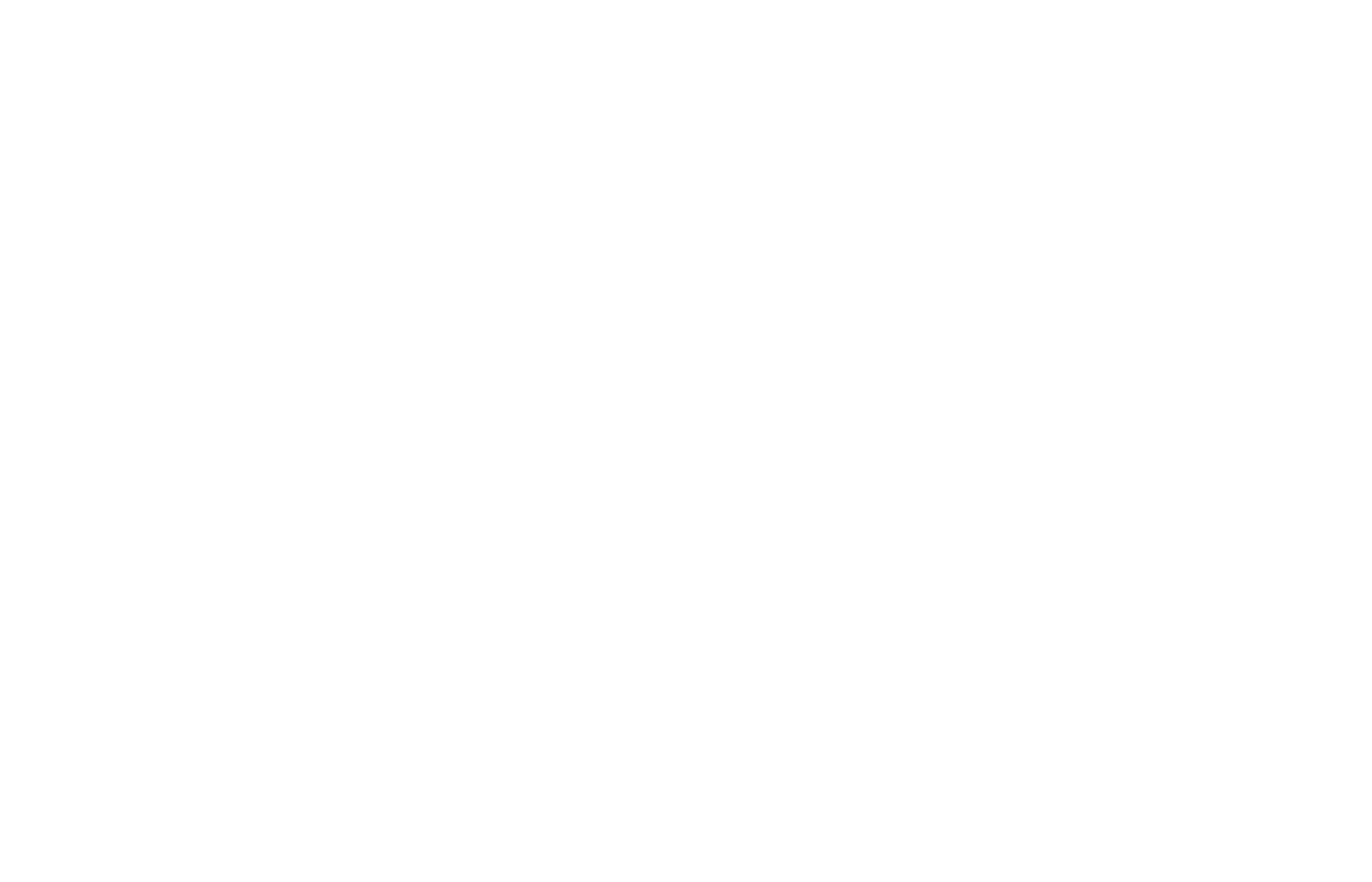 Logo 31