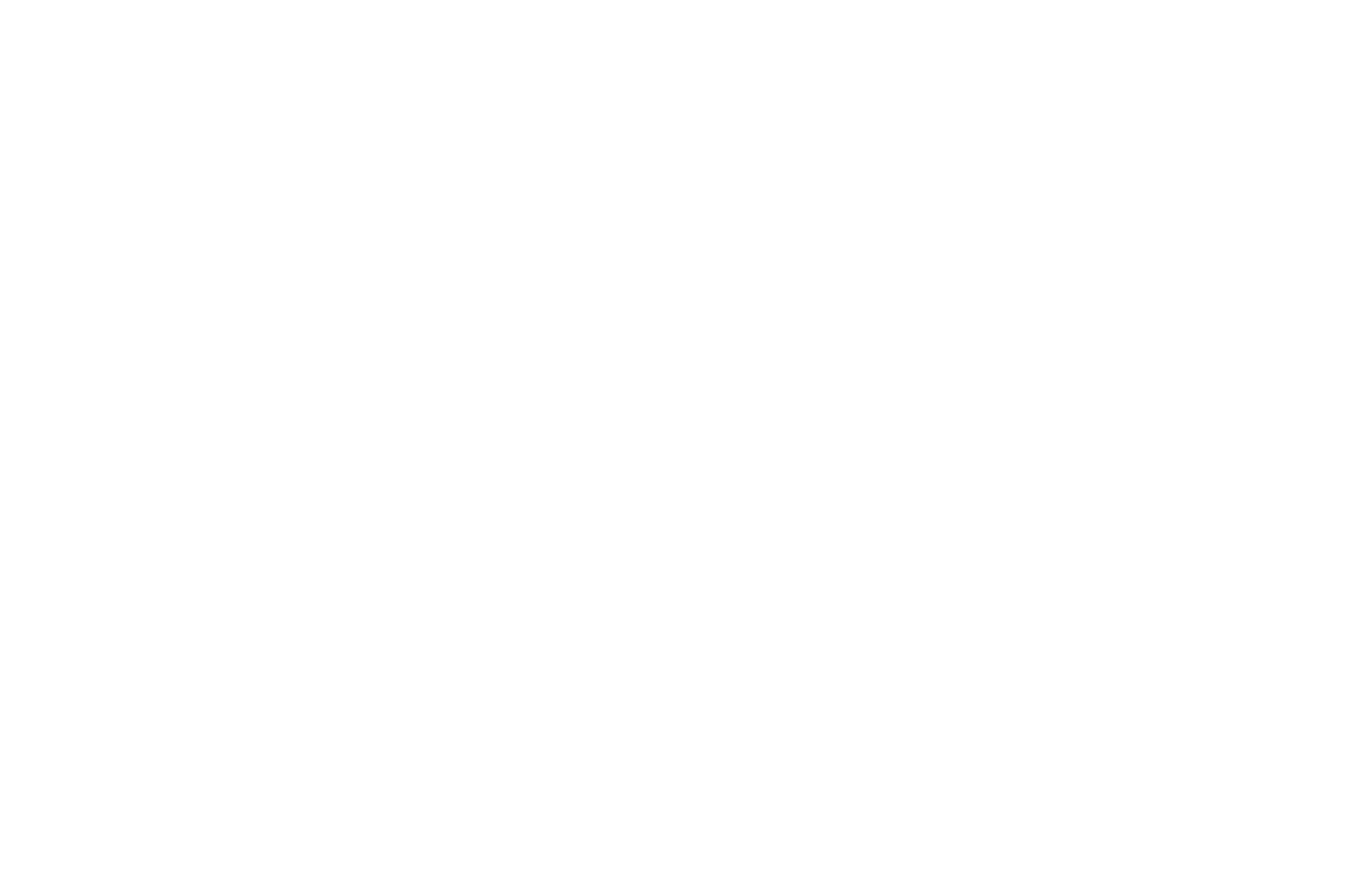 Logo 55