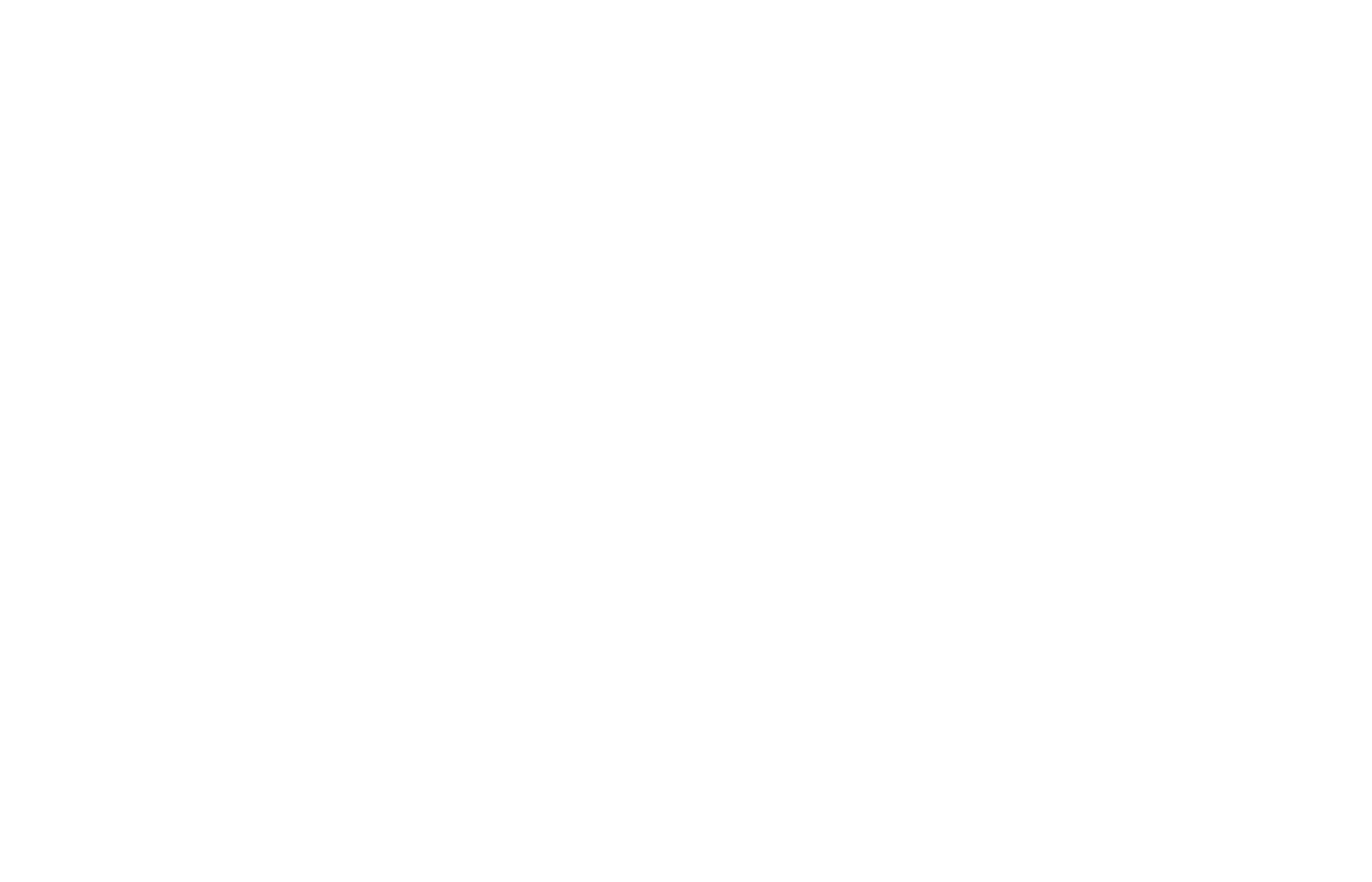 Logo 60