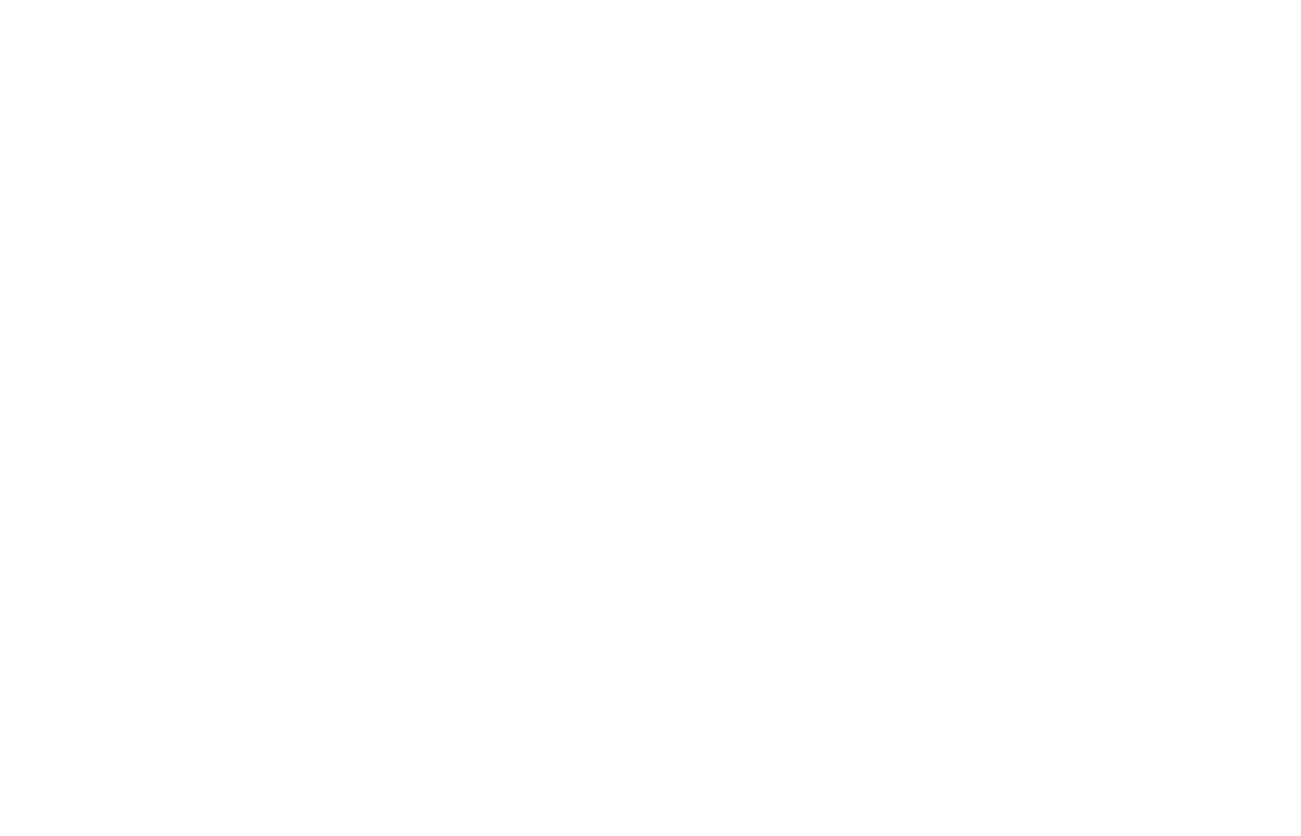 Logo 80