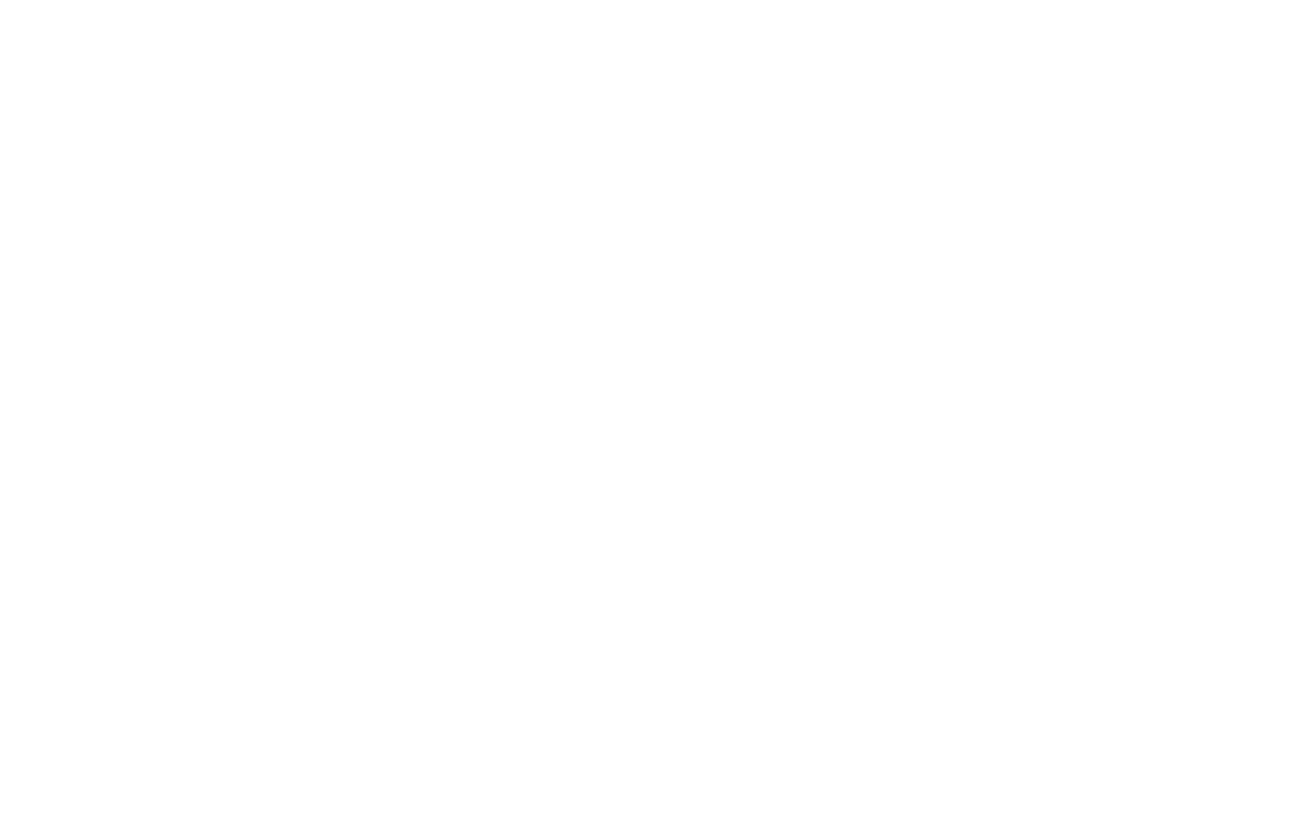 Logo 85