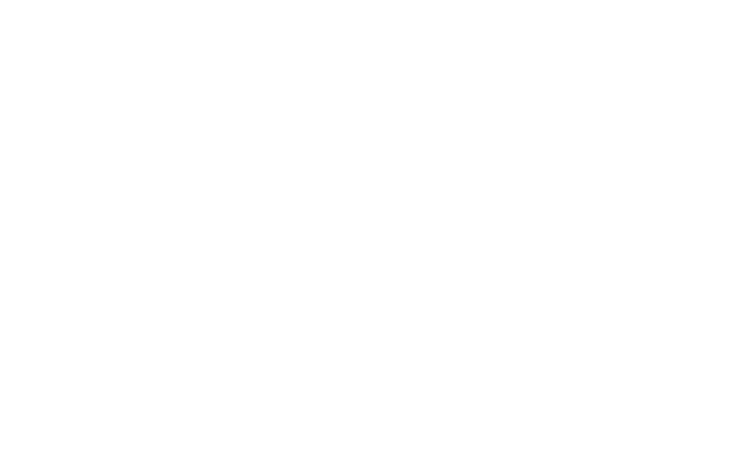 Logo 96